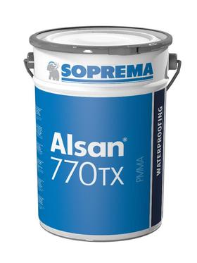 ALSAN PMMA 770 TX - 10 kg