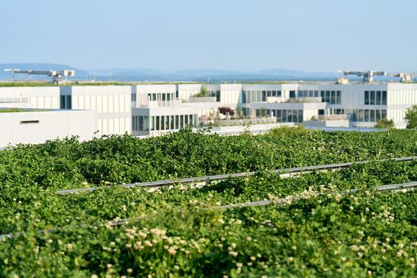 Aussicht auf Dächer von einem Hochhaus